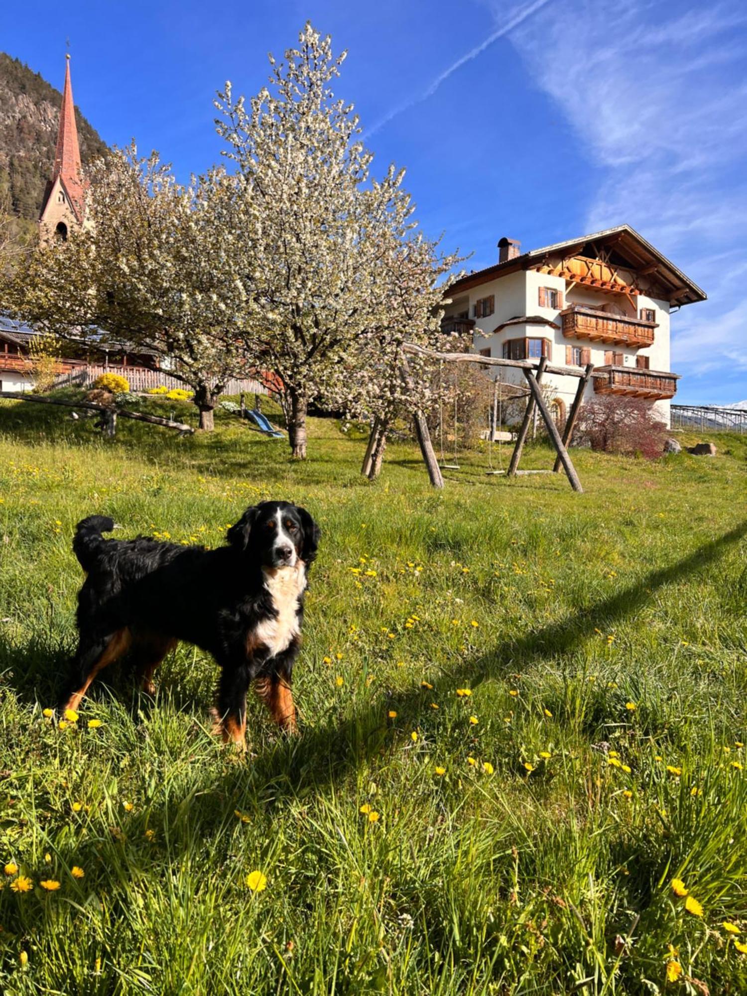 Gasserhof Barbian Eksteriør billede
