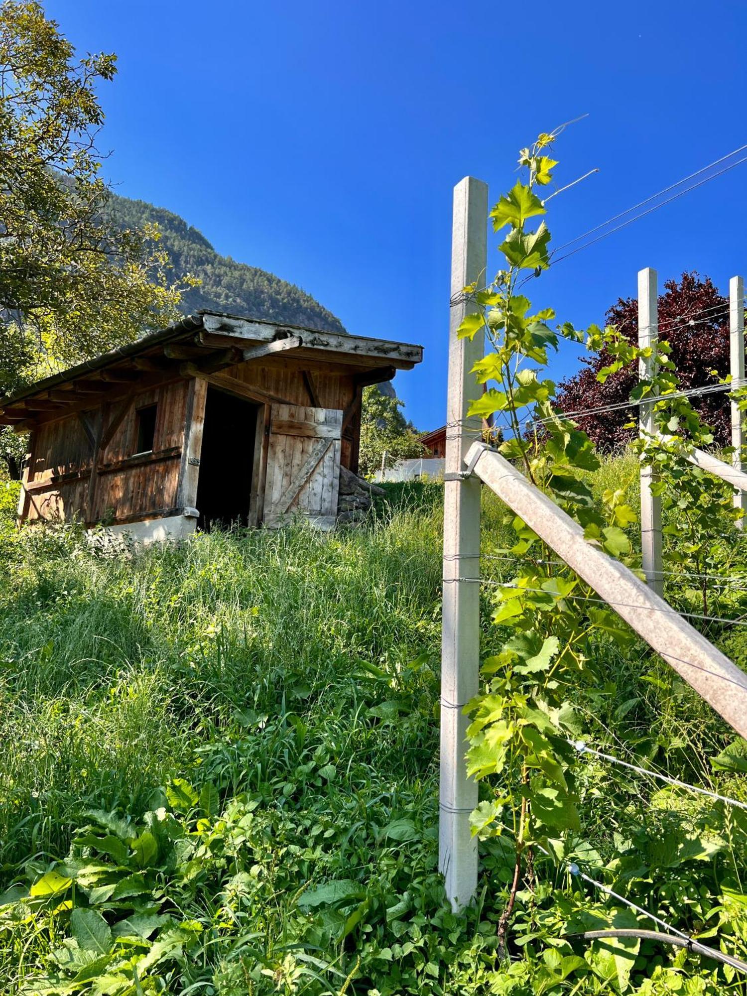 Gasserhof Barbian Eksteriør billede